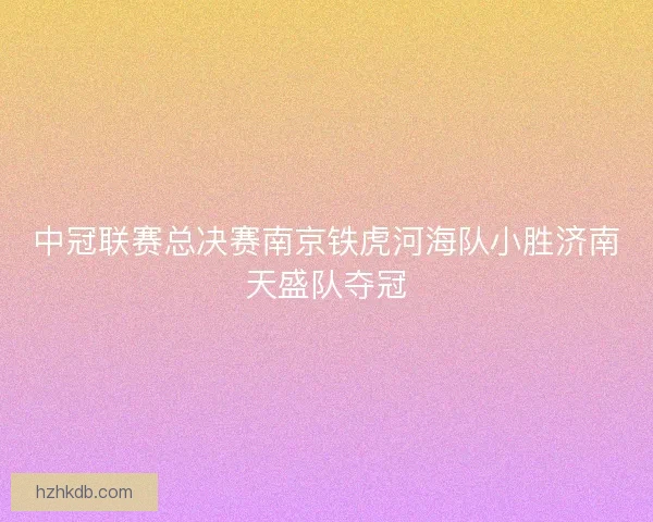 中冠联赛总决赛南京铁虎河海队小胜济南天盛队夺冠